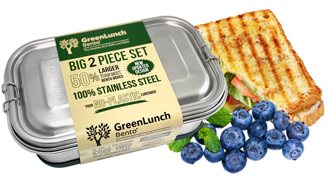 greenlunch bento box 2 in 1