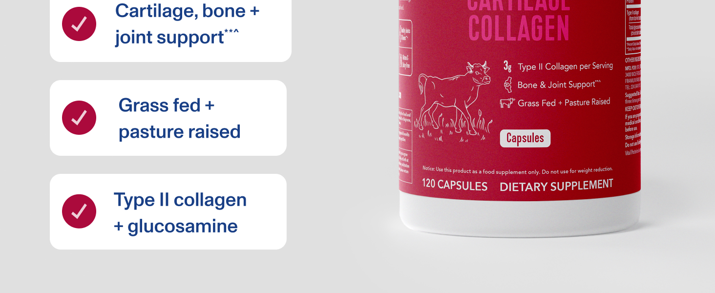 Cartilage, bone and Joint support