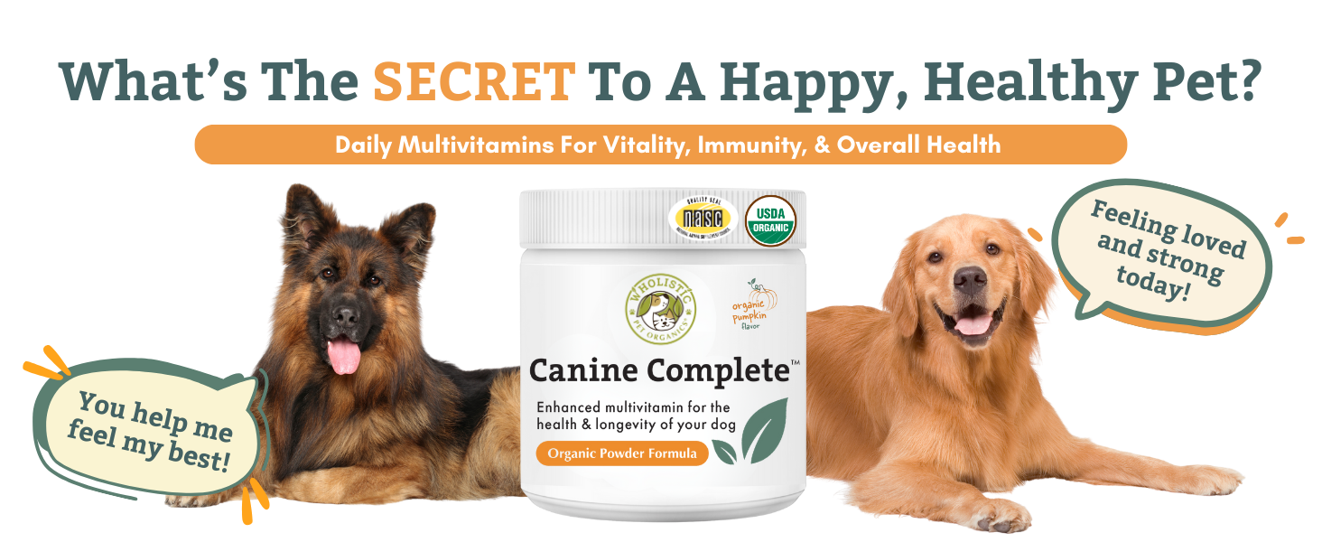 Dog vitamins and supplements