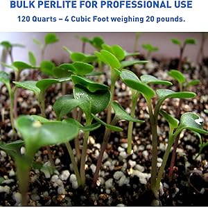 Perlite Description