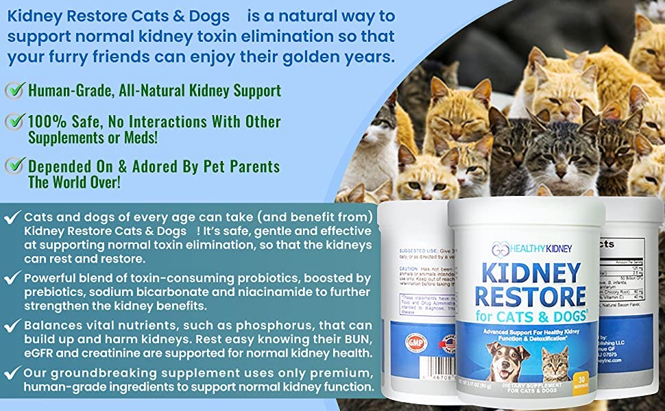 Cat and Dog Kidney Support 1