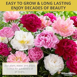 Easy Grow