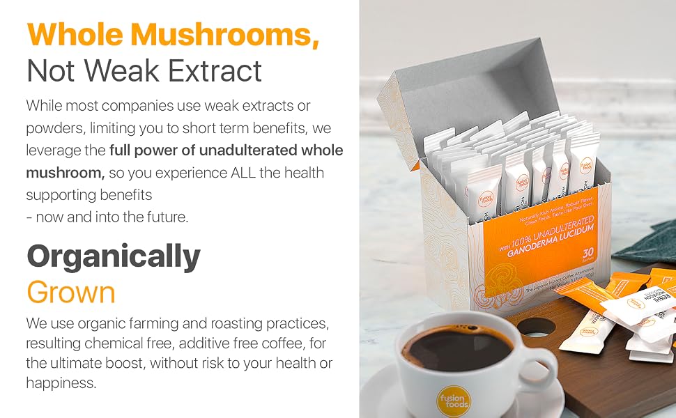 reishi coffee