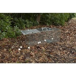 step by step trapping guide