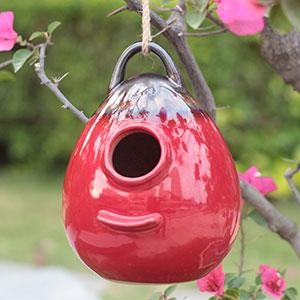 bird house