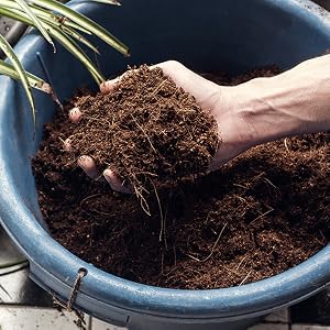 organic garden soil amendment coconut coir coco peat coir fiber pith coconut husk plant seed starter