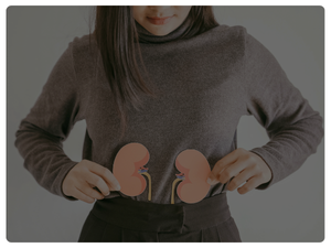 daily kidney support for men women long term systemic wellness for kidneys all natural
