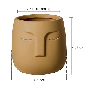 abstract face planter