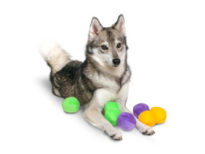squeaky and crinkly plush refill balls