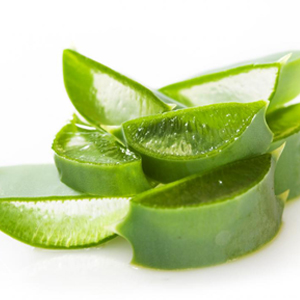 ALOE VERA EXTRACT
