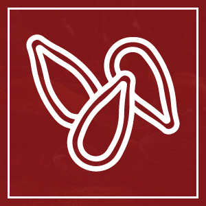 seed icon