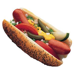 Chicago Style Hot Dog