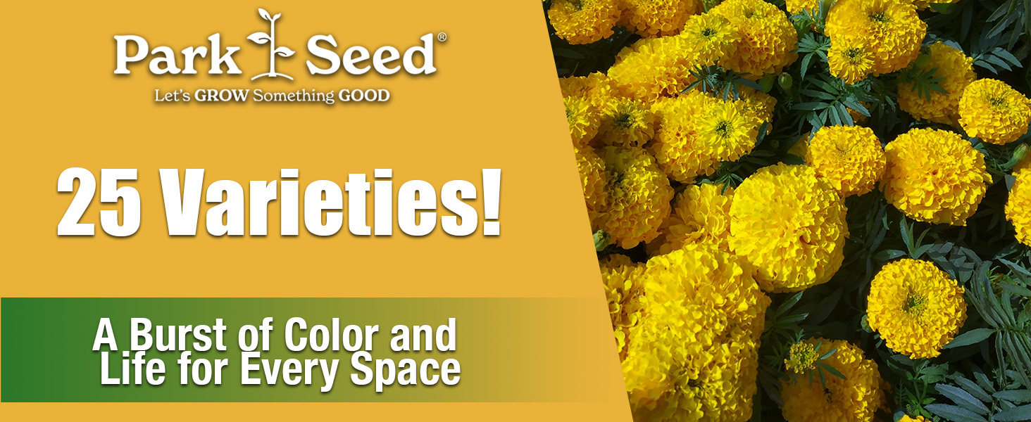 25 varieties of marigolds