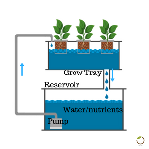 cal mag for plants,cal mag gallon, cal-mag for plants, cal mag, cal mag plus, cal mag plants