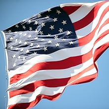 American Flage waving in the breeze