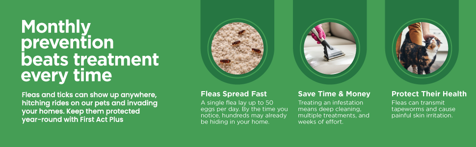 FirstAct Plus for cats