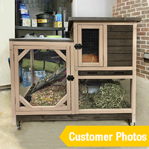 rabbit cage