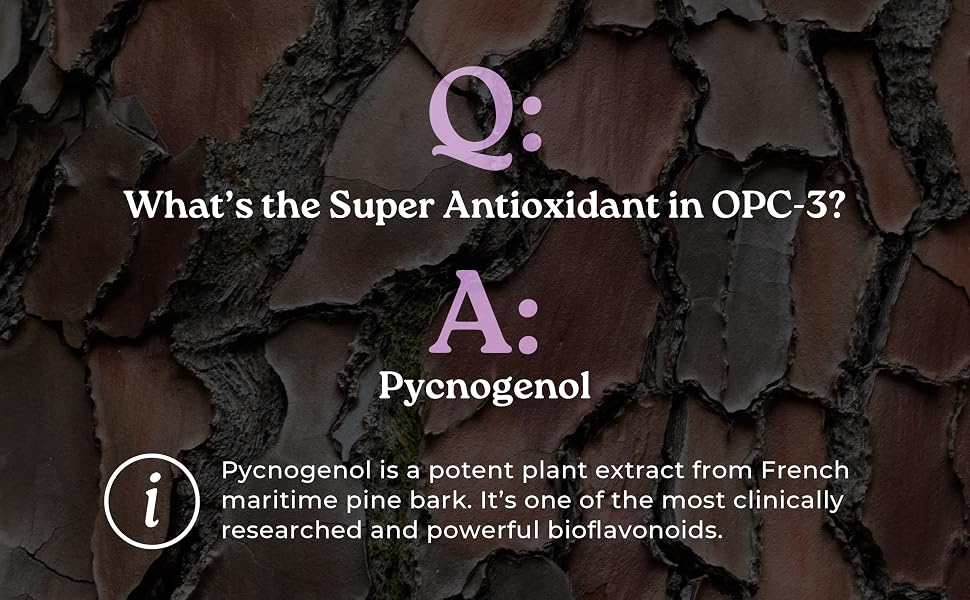 Pycnogenol Q&amp;A