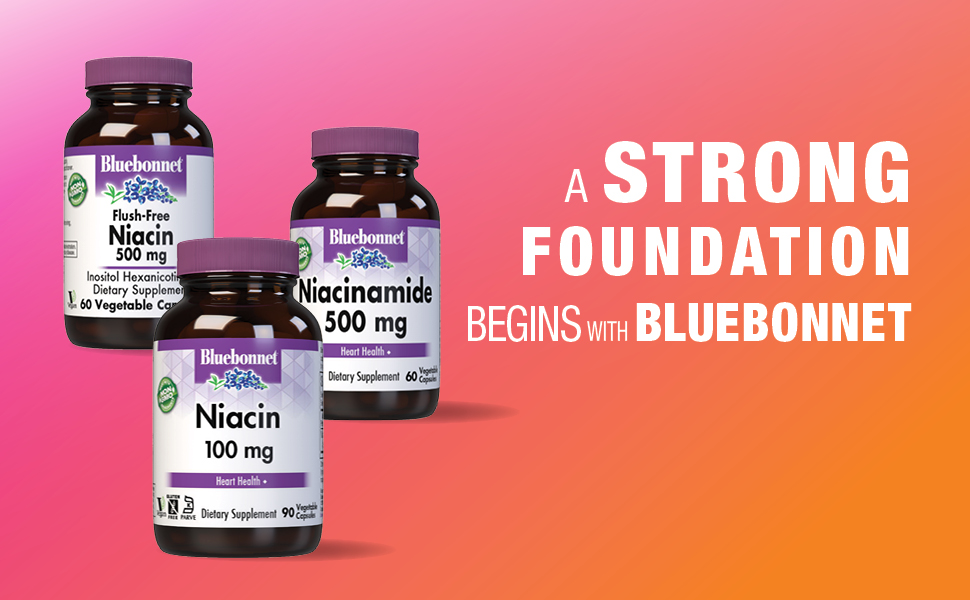 A Strong Foundation Begins with Bluebonnet