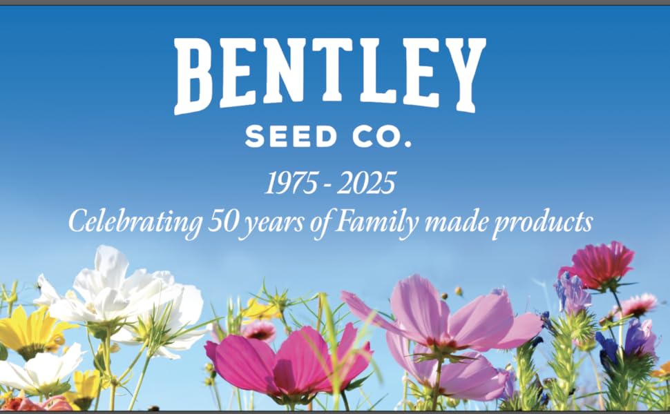 bentley