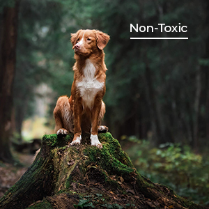 Non Toxic