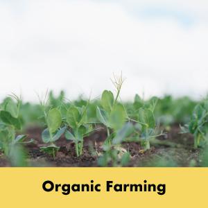 Organic Farming