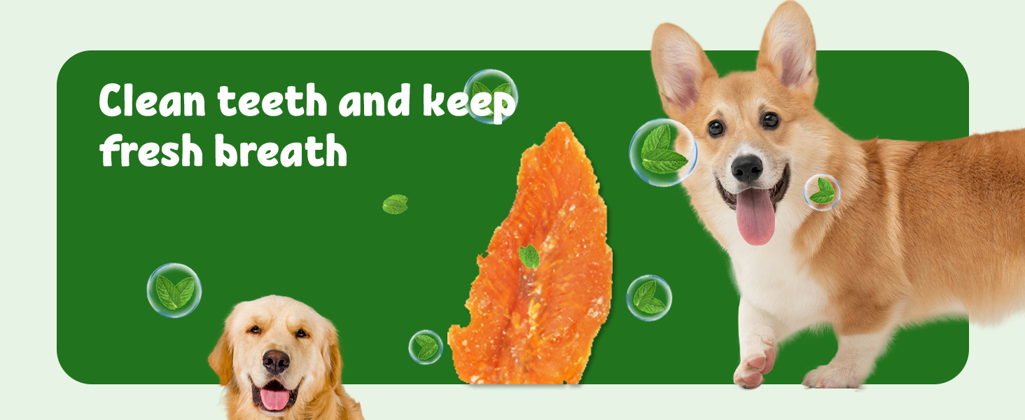 New dog treats chicken Healthy Dog Chews Highly Digestible Promotes chicken jerky with rawhide