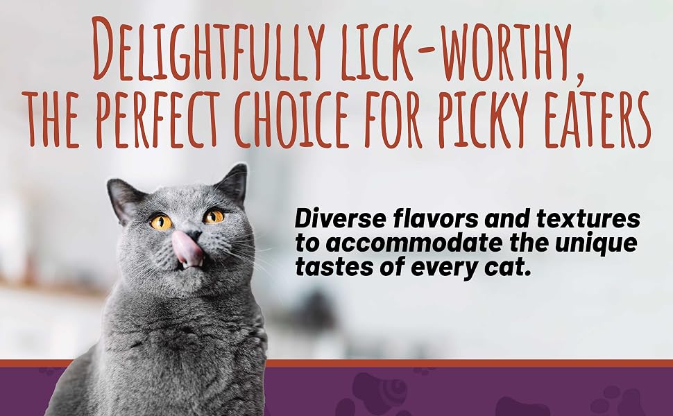 cat canned wet
