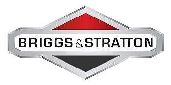 Briggs Logo
