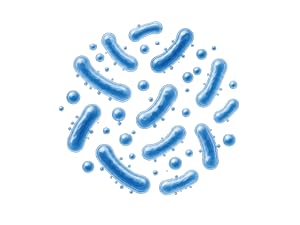 Microbiome balance illustration showing beneficial probiotic bacteria
