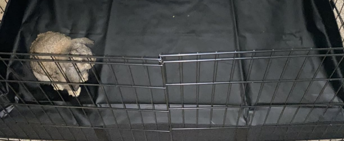 Extension Pet Playpen