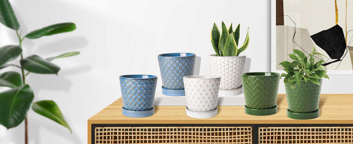 plant pot
