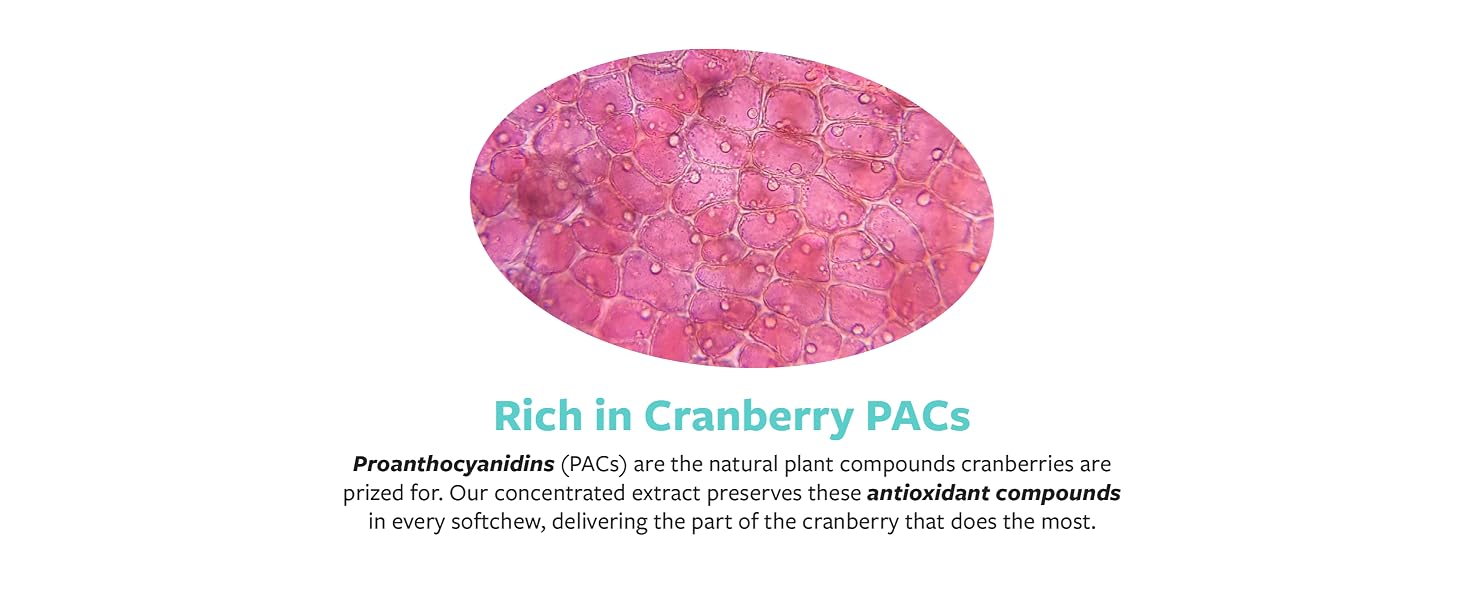 cranberry pacs