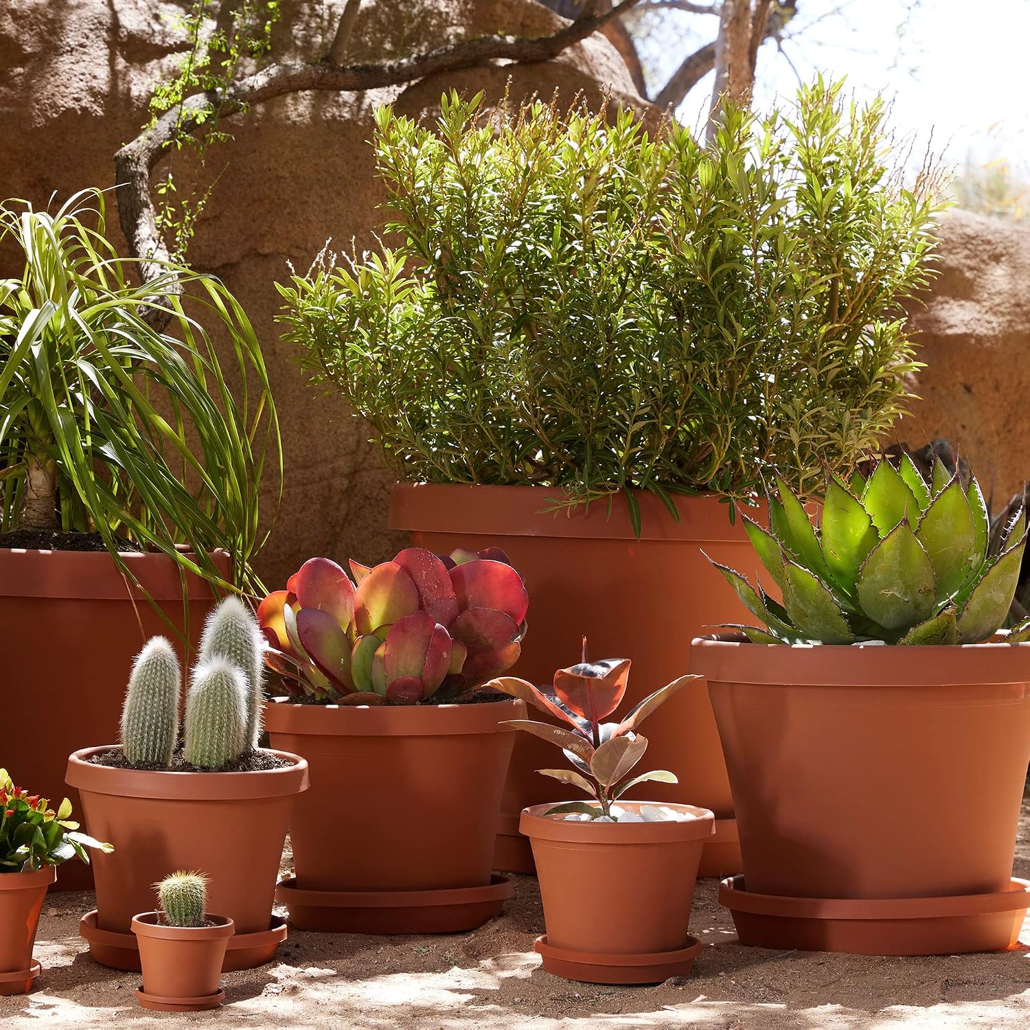 Bloem Terra Pot Planter: 16" - Terra Cotta - Durable Resin Pot, for Indoor and Outdoor Use, 8 Gallon Capacity, Saucer Sold Separately