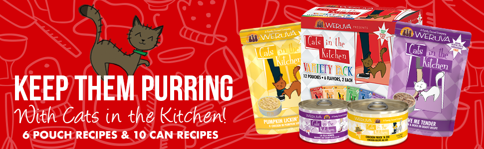 6 pouch recipes and 10 can recipes keep them purring