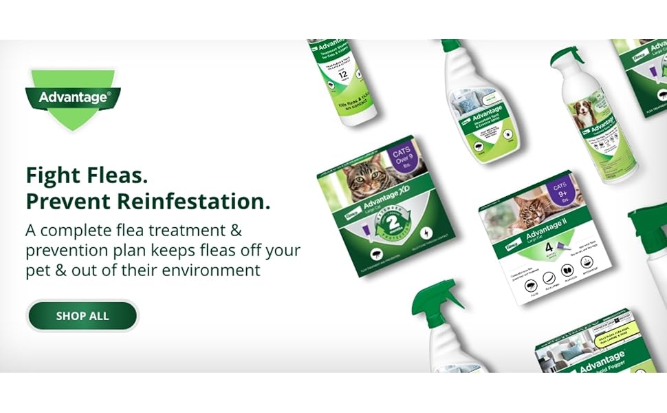Fight fleas and prevent reinfestation.