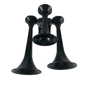 Outlaw Horn Image Valve