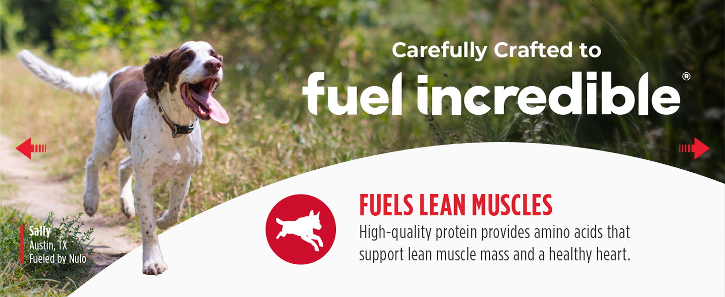 Image of dog with text reading fuels lean muscles.