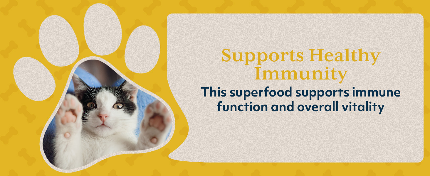 Supports Healthy Immunity