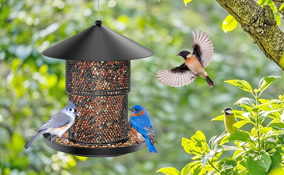 No Mess No Spill Birdfeeder