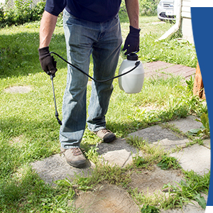Use on areas where unwanted weeds and grasses are present.