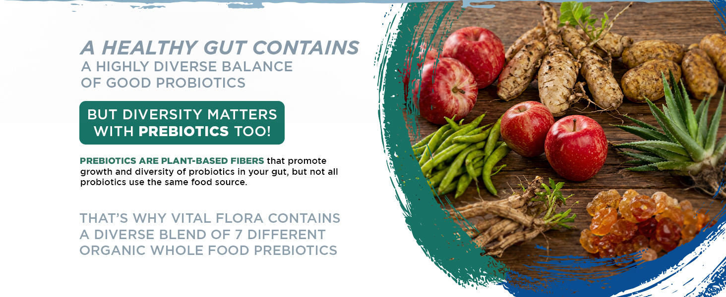release capsule probiotics assembled USA GMP certified facility immune support digestive complete