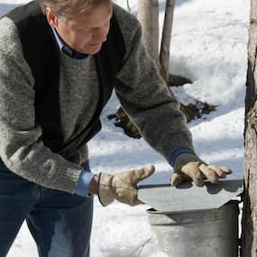 Arnold Coombs maple sugaring maple sugar tree Vermont sustainable independent small family farm