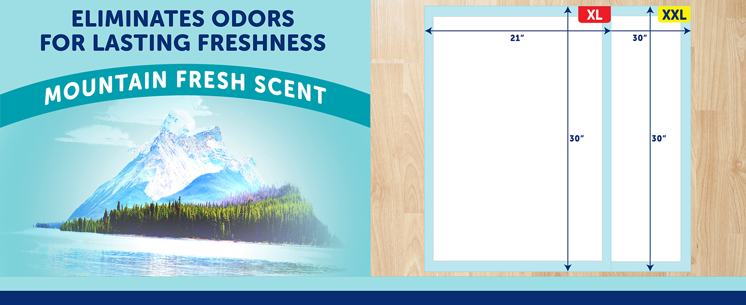 Mountain Fresh Scented Pads