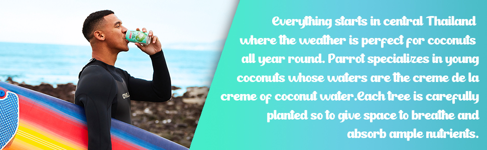 Parrot coconut water