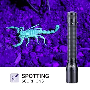 blacklight flashlight