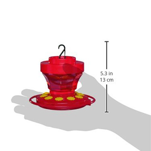 flower feeder, hummingbird feeder, feeder, bird feeder, hummingbird bird feeder
