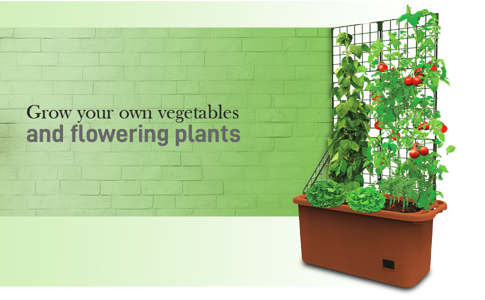 Self Watering Vegetable Planter Box with Trellis on Wheels Mobile home garden or community plots