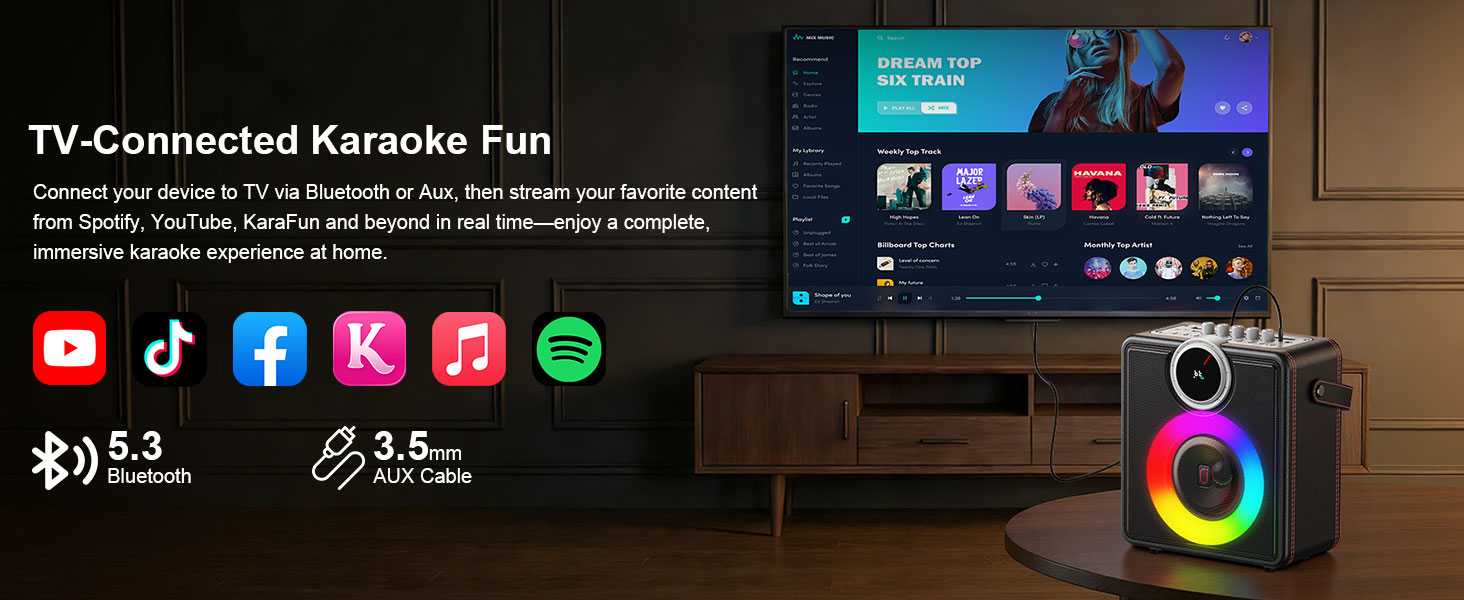 karaoke speaker