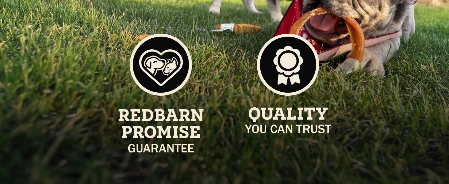 high quality chews for puppies to adult dogs